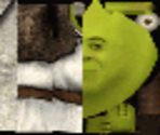 Shrek - Dreamworks Super Star Kartz