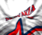 Slovakia Home - Actua Ice Hockey