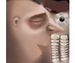 Gru - Despicable Me: The Game