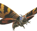 Mothra (Imago) - Godzilla: Save the Earth