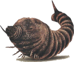 Mothra (Larva) - Godzilla: Save the Earth