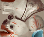 Baby Seal - Hungry Shark World