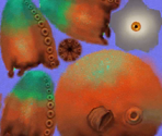 Baby Octopus - Hungry Shark World