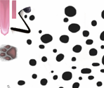 Dalmatian - Pet Pals 2: Best of Friends (Explorer)