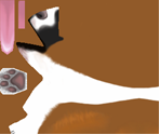 Boxer - Pet Pals 2: Best of Friends (Explorer)