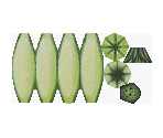Melon - Ratatouille