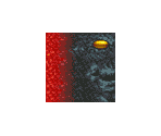 Black Warrior - Shadow the Hedgehog
