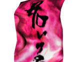 Anti-Curse Amulet - Dark Cloud