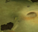Male Teen (3) - Planet 51