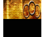 Treasure Chest Key - Dark Cloud