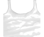 Vest - Roblox
