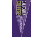 College Pennant - Tony Hawk's Underground