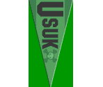 Usuk Pennant - Tony Hawk's Underground