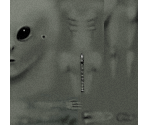 Alien - Grey - ESPN X Games Skateboarding