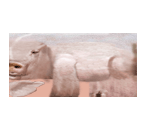 Pig - Tony Hawk's Pro Skater 4