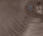 Seal - Tony Hawk's Pro Skater 4