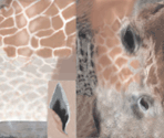 Giraffe - Tony Hawk's Pro Skater 4
