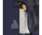 Penguin - Tony Hawk's Pro Skater 4