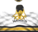 Boston Home - Actua Ice Hockey 2