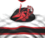 Chicago Home - Actua Ice Hockey 2