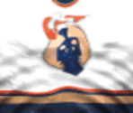 Edmonton Home - Actua Ice Hockey 2