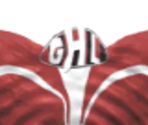 North America All-Stars Home - Actua Ice Hockey 2
