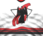 New Jersey Home - Actua Ice Hockey 2