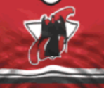 New Jersey Away - Actua Ice Hockey 2