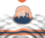 New York Skyliners Home - Actua Ice Hockey 2
