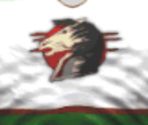 Phoenix Home - Actua Ice Hockey 2