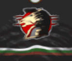 Phoenix Away - Actua Ice Hockey 2