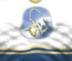 St. Louis Home - Actua Ice Hockey 2