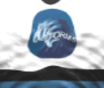 Tampa Bay Home - Actua Ice Hockey 2