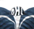 World All-Stars Home - Actua Ice Hockey 2