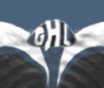 World All-Stars Away - Actua Ice Hockey 2