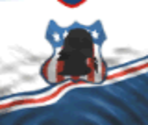 Washington Home - Actua Ice Hockey 2