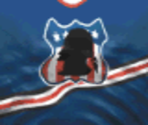 Washington Away - Actua Ice Hockey 2