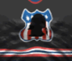 Washington Third - Actua Ice Hockey 2