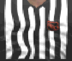 NHL Referee - Actua Ice Hockey 2