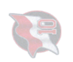 Buffalo - Actua Ice Hockey 2