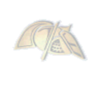 Dallas - Actua Ice Hockey 2