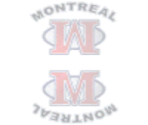 Montreal - Actua Ice Hockey 2
