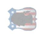 Washington - Actua Ice Hockey 2