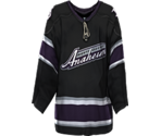 Anaheim Alternate - NHL 2005