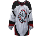 Buffalo Away - NHL 2005