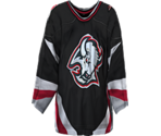 Buffalo Home - NHL 2005