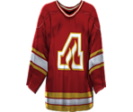 Calgary Vintage 1973 - NHL 2005