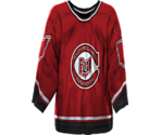 Dallas Vintage 1976 (Cleveland Barons Away) - NHL 2005