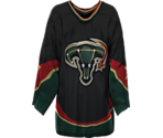 Dallas Alternate - NHL 2005