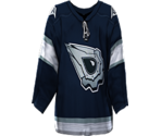 Edmonton Alternate - NHL 2005